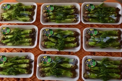 出荷用タラノメ